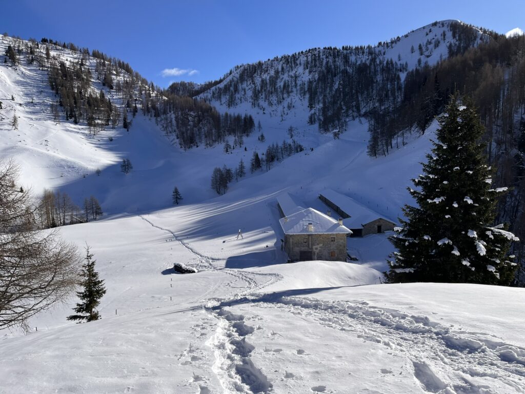 Domenica 12 Gennaio 2025 Centro Cadore Malga Doana mt. 1911